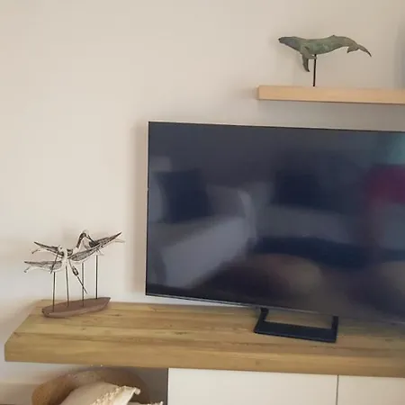 公寓 T2 Vista Rio Arade - *